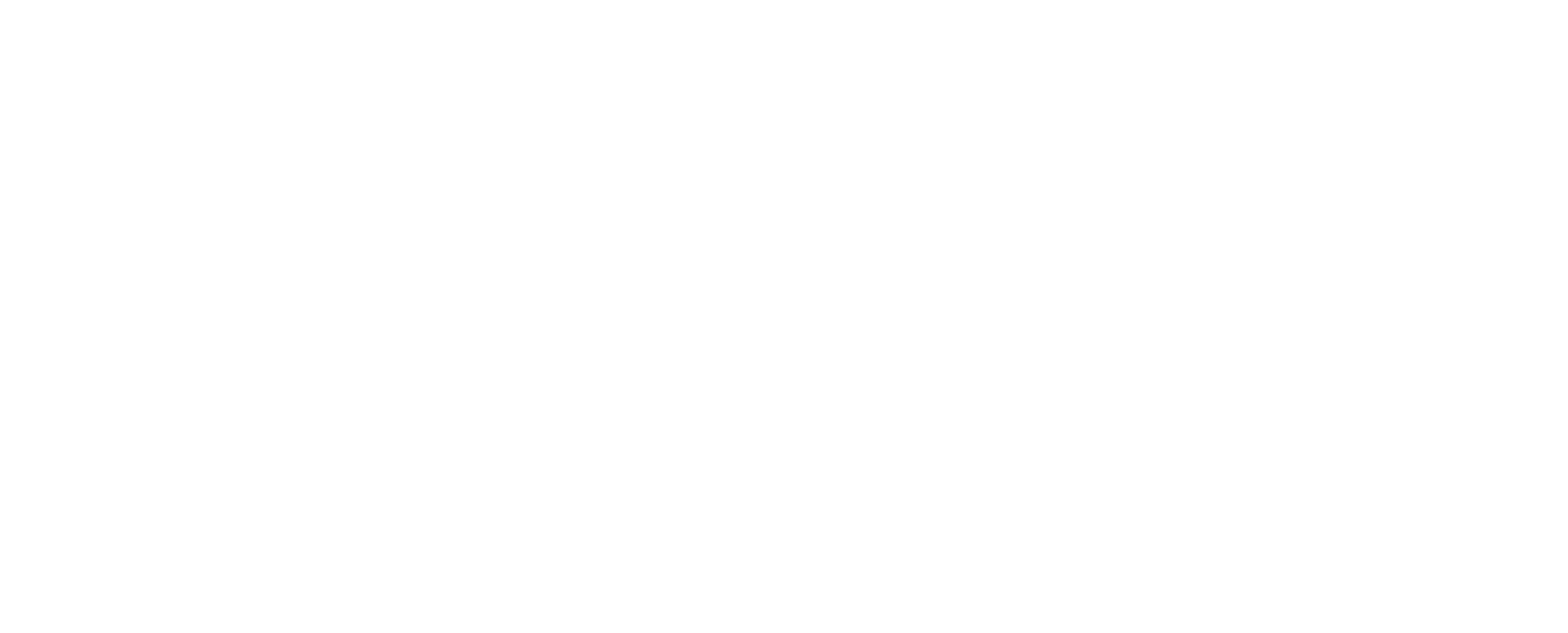 Central Florida Black Nurses Association of Orlando, Inc. Logo